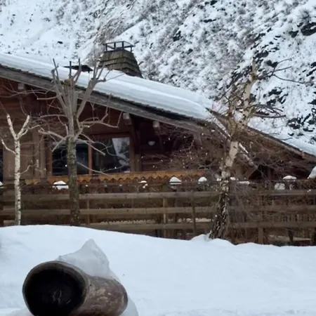 Шале Family In Tour-argentiere *