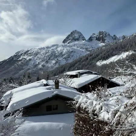Family In Tour-argentiere Шамони